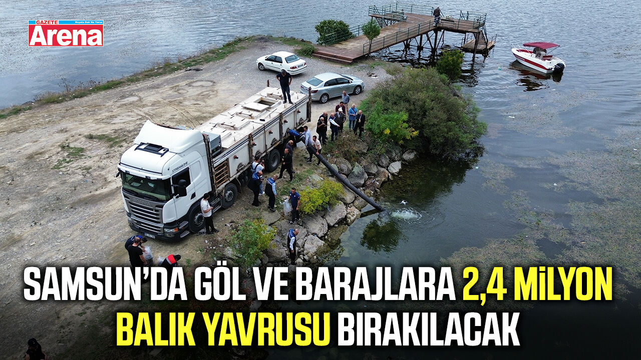 Samsun’da göl ve barajlara 2,4 milyon balık yavrusu bırakılacak