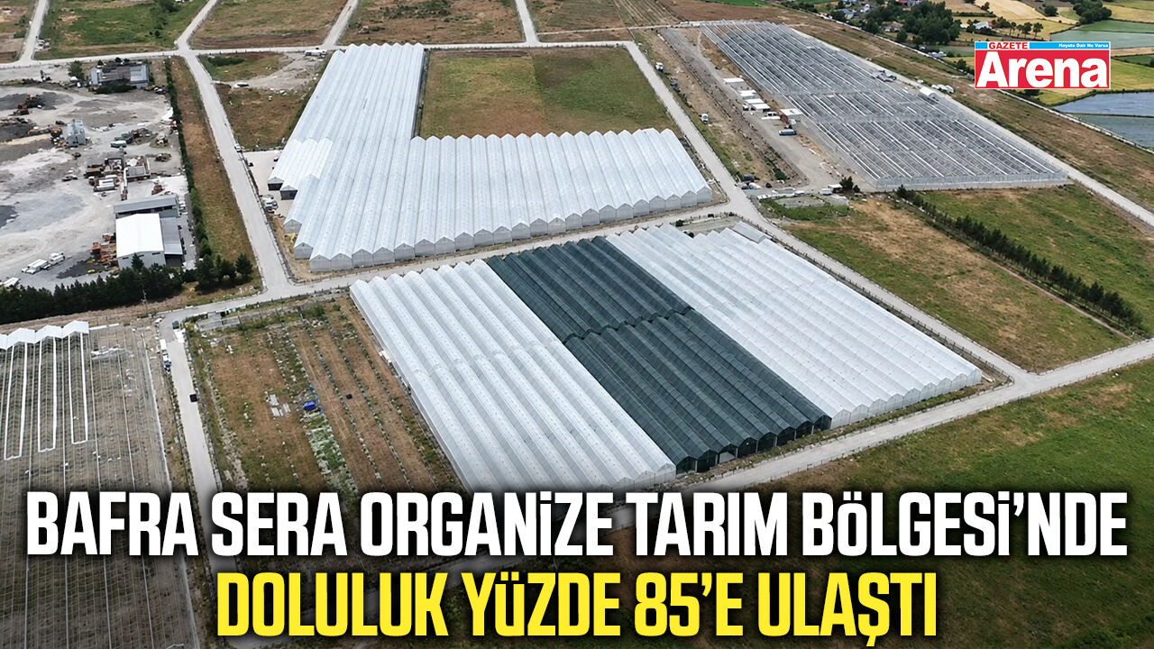 Bafra Sera Organize Tarım Bölgesi’nde doluluk yüzde 85’e ulaştı
