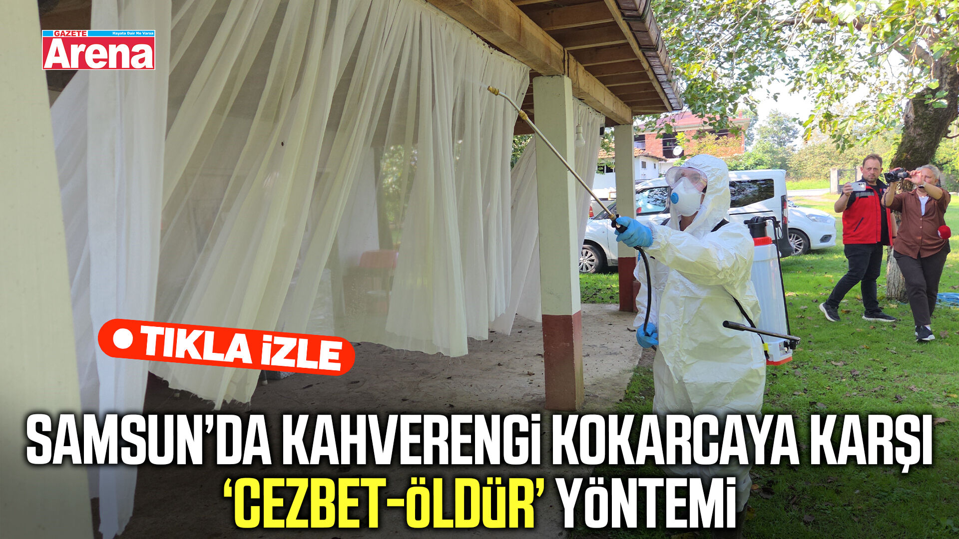 Samsun’da kahverengi kokarcaya karşı cezbet-öldür yöntemi