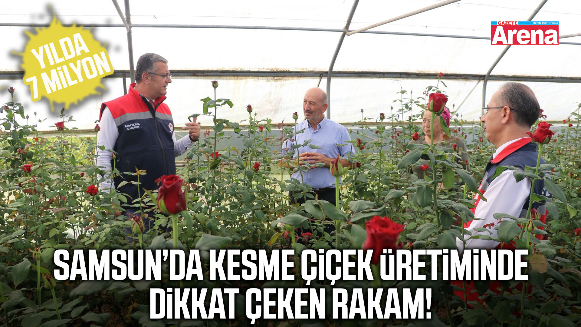 Samsun’da kesme çiçek üretiminde dikkat çeken rakam!