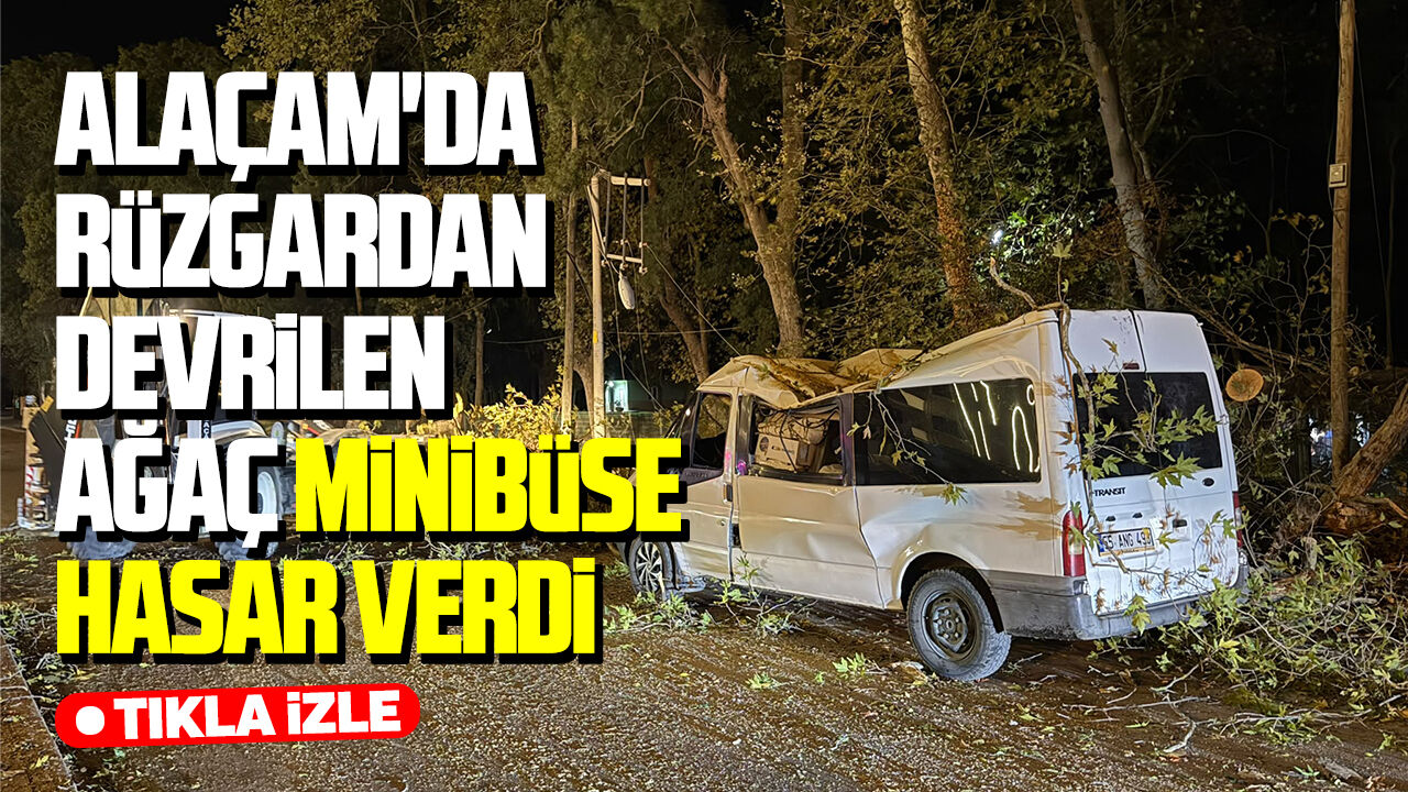 Alaçam'da rüzgardan devrilen ağaç minibüse hasar verdi