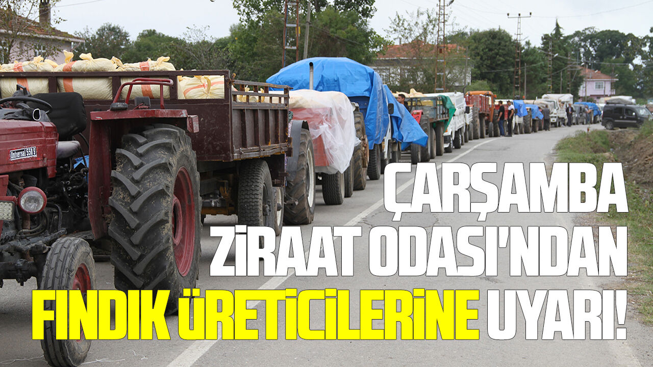 Çarşamba Ziraat Odası'ndan fındık üreticilerine uyarı