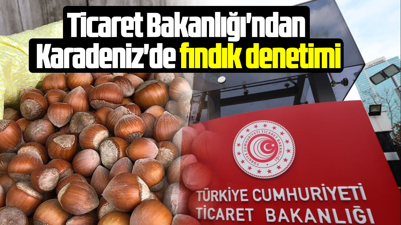 Ticaret Bakanlığı'ndan Karadeniz'de fındık denetimi