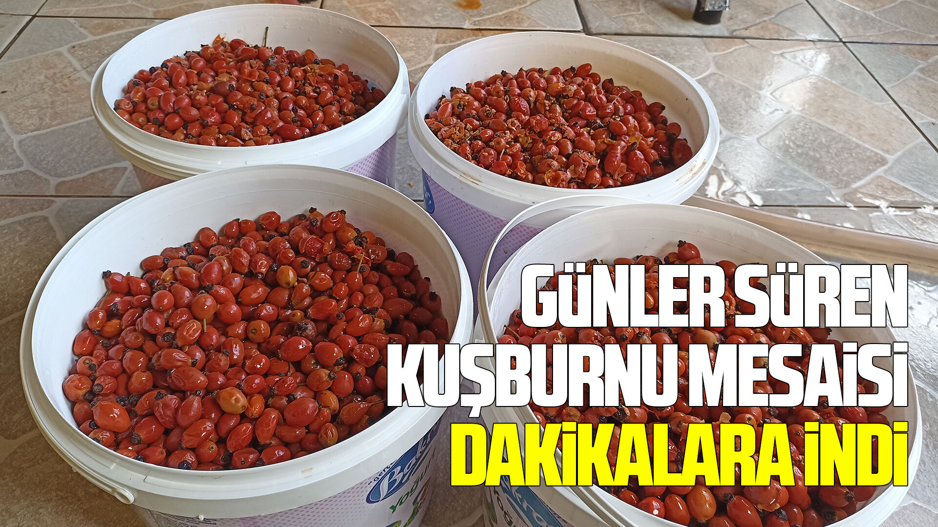 Havza'da kışlık hazırlıklarda mekanik sistem