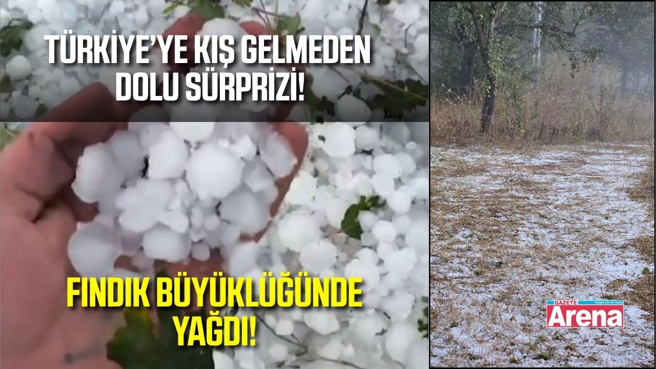 Kış gelmeden dolu yağdı! Yollar ve tarlalar beyaza büründü