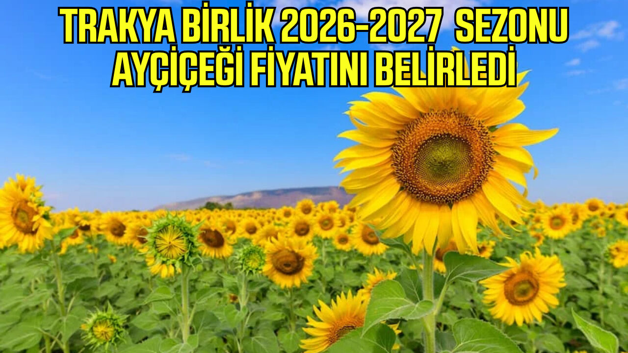 Trakya Birlik 2026-2027 sezonu ayçiçeği fiyatını belirledi