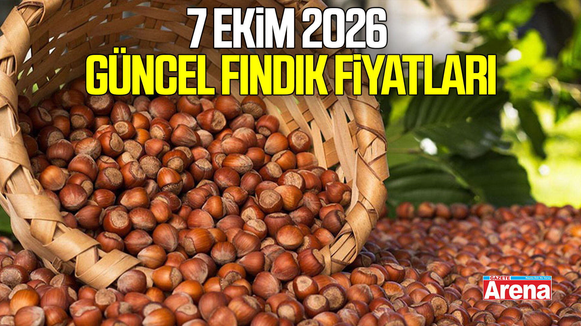 7 Ekim 2026 güncel fındık fiyatları