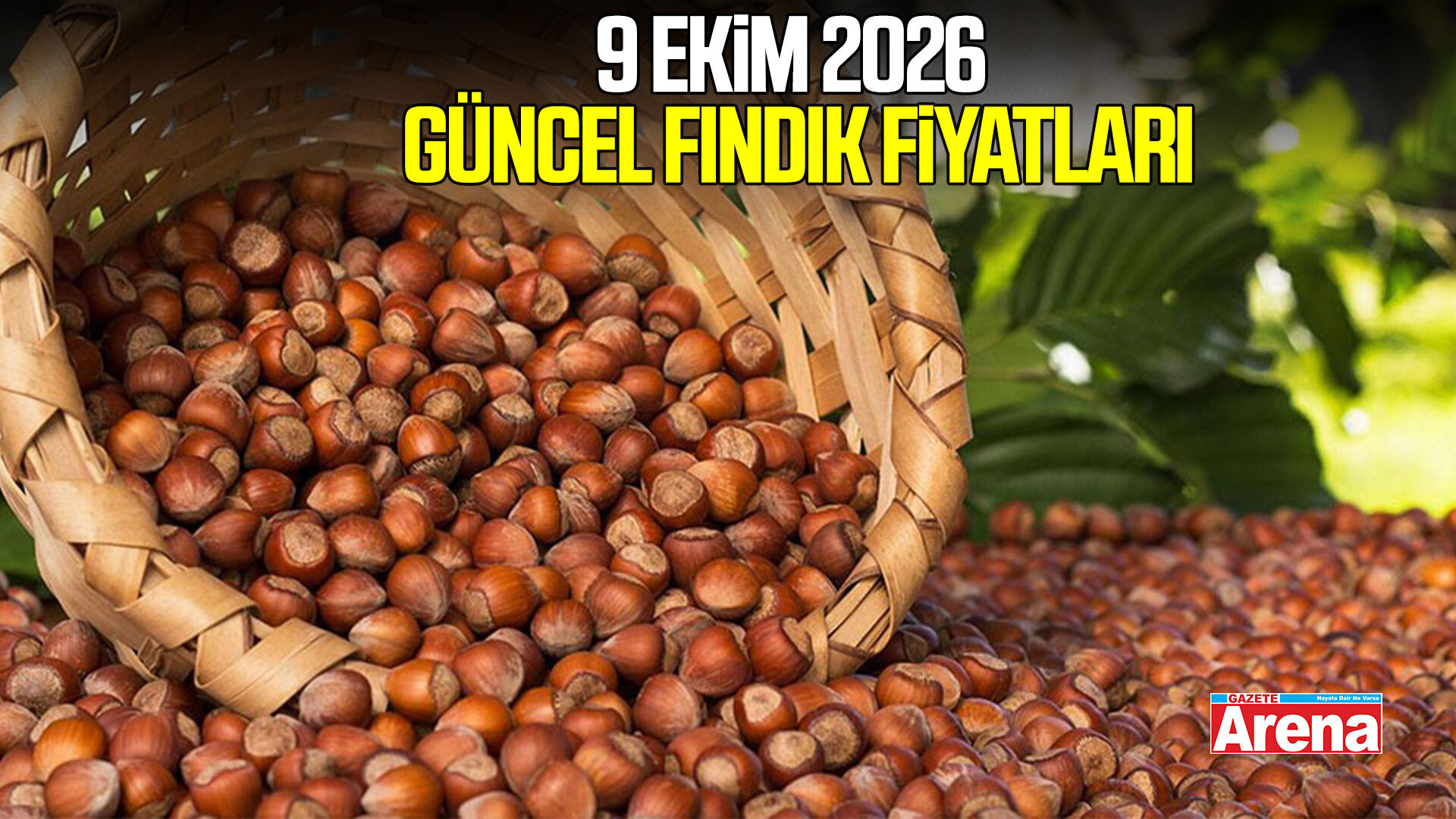 9 Ekim 2026 güncel fındık fiyatları