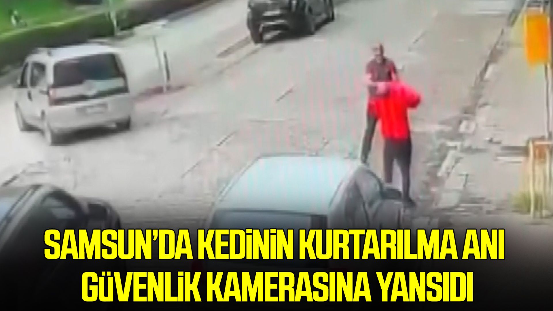 Samsun’da kedinin kurtarılma anı güvenlik kamerasına yansıdı