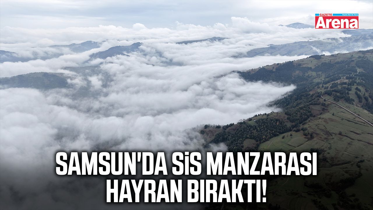 Samsun'da sis manzarası mest etti!