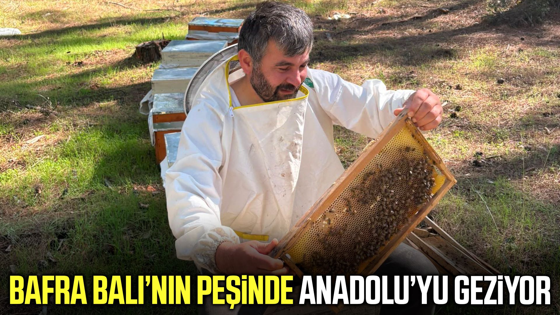 İstanbul'dan Samsun'a uzanan bal yolculuğu