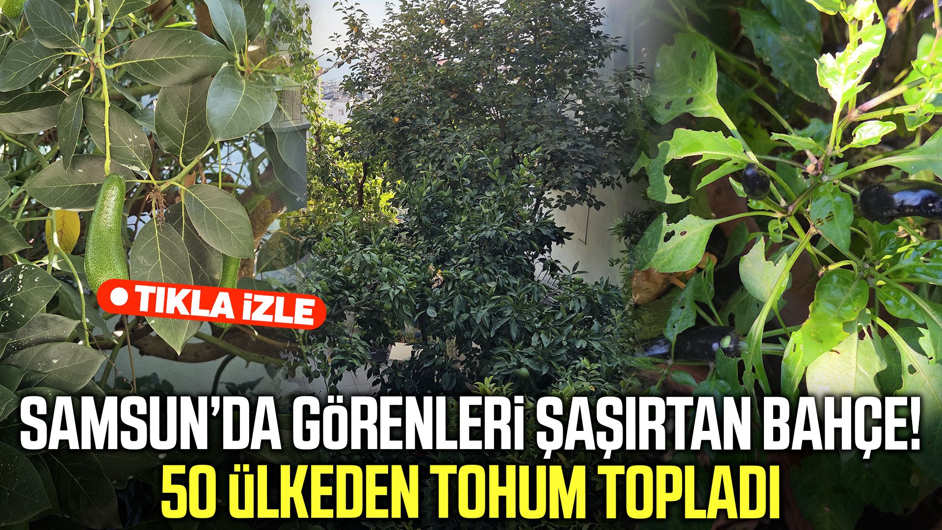 Samsun’da görenleri şaşırtan bahçe! 50 ülkeden tohum topladı