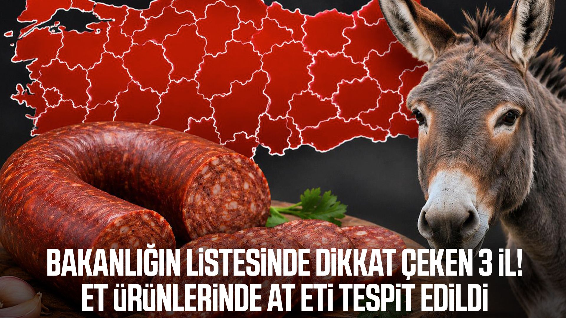 Vatandaşa at ve eşek eti yedirdiler! İşte 3 ildeki firmalar