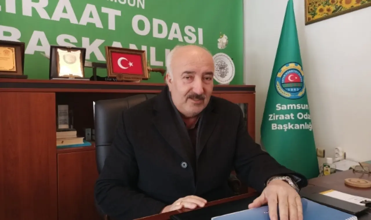 Kokarcada 'kar' ümidi - Samsun Haber