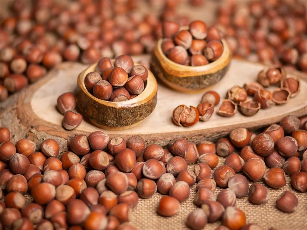 Foşa Fındık - Ziya Efendi